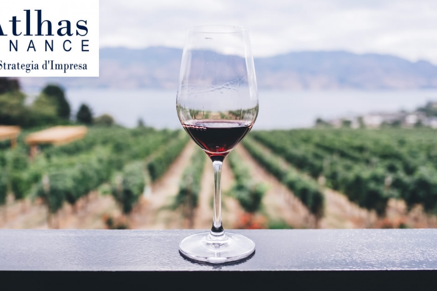 La produzione vinicola italiana 2013-2018 e le acquisizioni aziendali: un percorso di successo per l'internazionalizzazione delle imprese